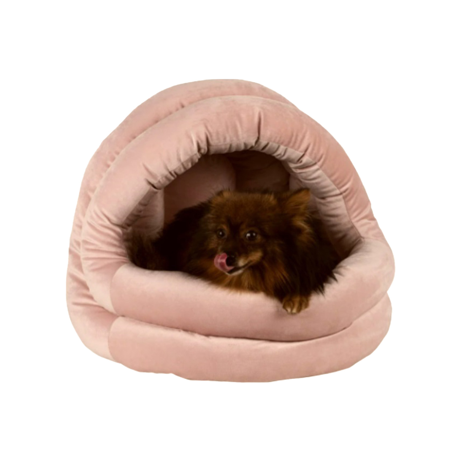 LİON KÖPEK YATAĞI-PUDRA