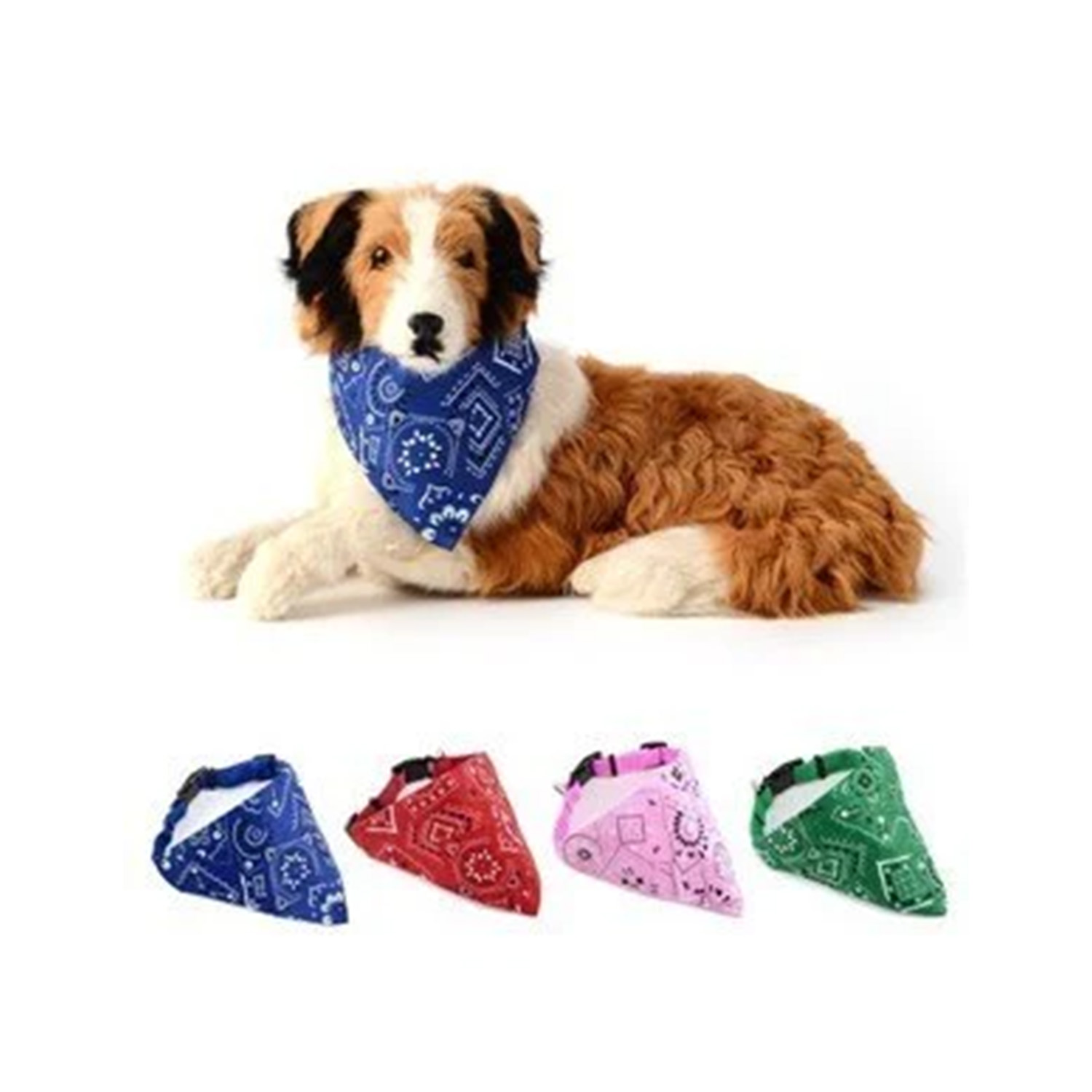 LİON 12Lİ FURALI BOYUN TASMA